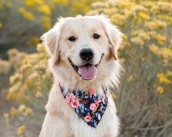 Wild Meadows, Durable Dog Bandana, Reversible Dog Bandana , Tie on bandana, Easy to wash dog bandana, Adventure Dog Bandana, Floral Bandana