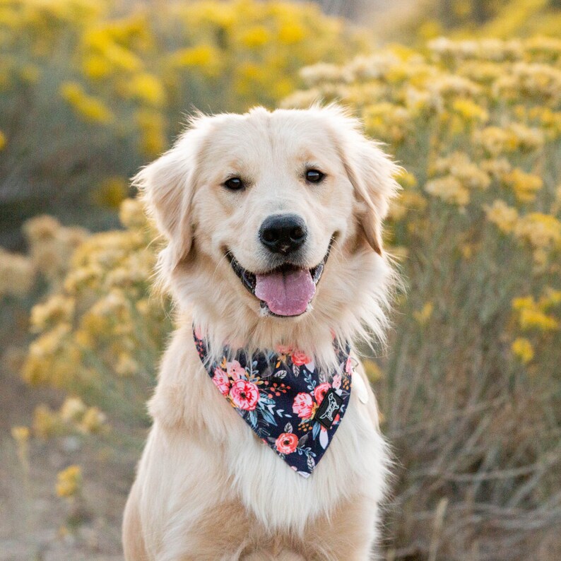 Wild Meadows, Durable Dog Bandana, Reversible Dog Bandana , Tie on bandana, Easy to wash dog bandana, Adventure Dog Bandana, Floral Bandana image 1