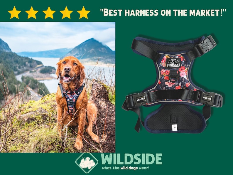 Harness, Pet Harness, Adjustable Harness, Dog Harness, No pull dog harness, dog harness leash set, puppy harness set image 1