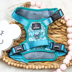 Adjustable Dog Harness with Handle - For Medium and Large Dogs, Custom Fit, Adjustable Neck Buckle, Teal Dog Harness, Rainbow Dog Harness