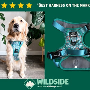 Rainbow Dog Harness No Pull Harness Vest Adjustable Dog Harness Dog Accessories Girl Dog Harness Teal Harness Dog Harness with Handle