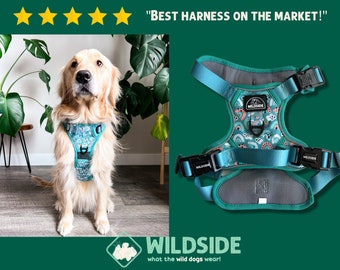 Rainbow Dog Harness No Pull Harness Vest Adjustable Dog Harness Dog Accessories Girl Dog Harness Teal Harness Dog Harness with Handle