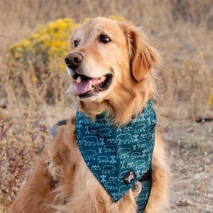 Summit, Durable Dog Bandana, Reversible Dog Bandana , Tie on bandana, Easy to wash dog bandana, Adventure Dog Bandana, Teal Dog Bandana