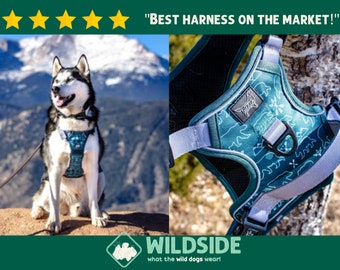 Teal Bear Dog Harness Dog Harness For Big Dogs Harness with Handle Reflective Dog Harness No Pull Dog Harness Dog Clothing Cute Dog Harness