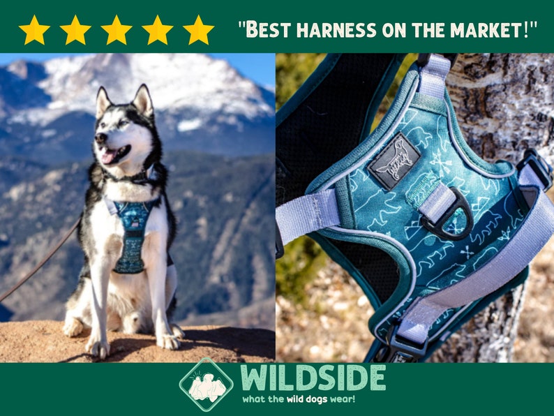 Teal Bear Dog Harness Dog Harness For Big Dogs Harness with Handle Reflective Dog Harness No Pull Dog Harness Dog Clothing Cute Dog Harness image 1