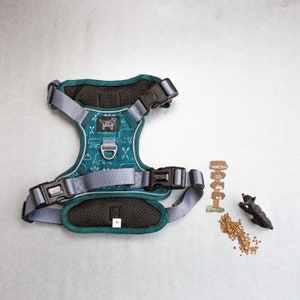 Teal Bear Dog Harness Dog Harness For Big Dogs Harness with Handle Reflective Dog Harness No Pull Dog Harness Dog Clothing Cute Dog Harness image 5