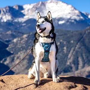 No more slip over the head harness, your dog will love this adjustable dog harness, made with durable material for all adventures with your dog. Use this harness as a no pull harness for dog training or hiking with your dog