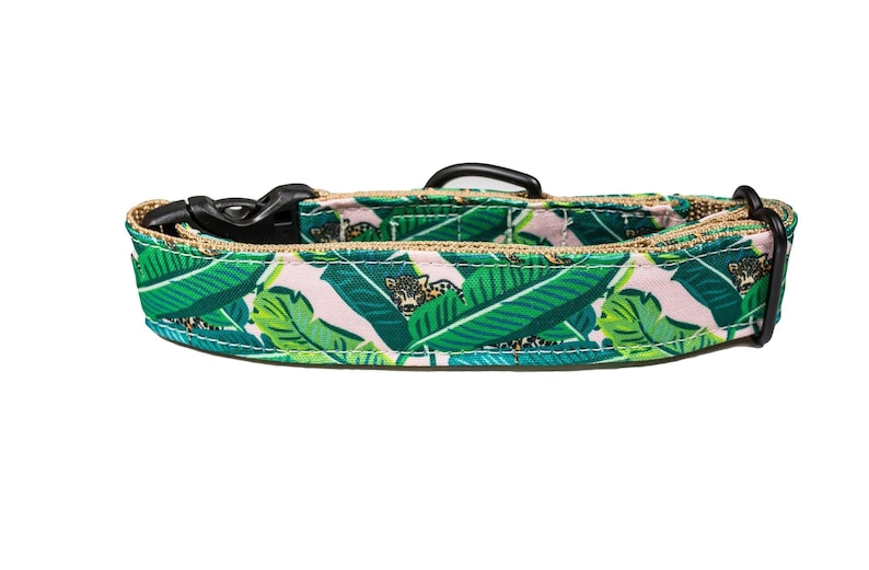 Water Resistant Dog collar Cheeta in Palms Eco-Canvas Collar Dog Collar Eco-Canvas Dog Collar Tropical Dog collar