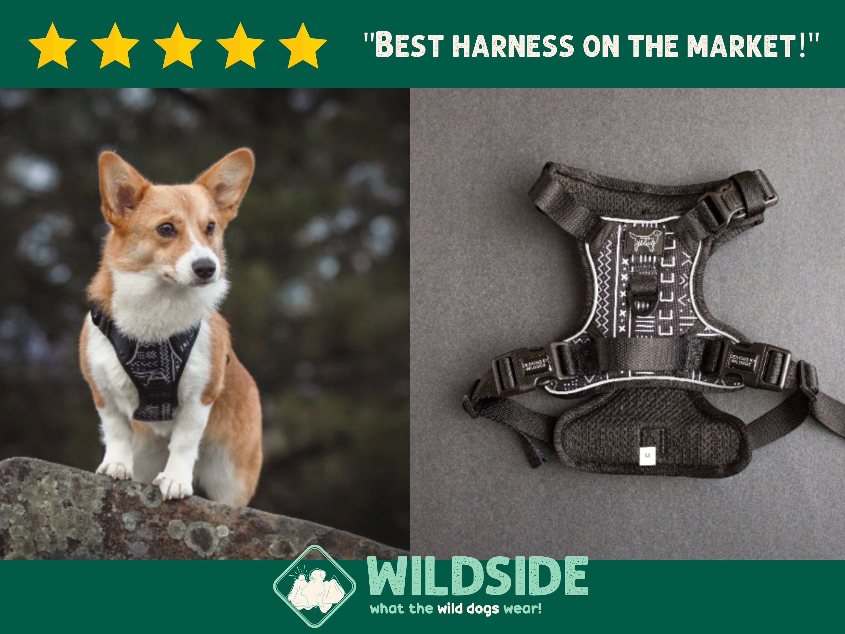 Whats The Best Harness For A