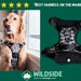 see more listings in the Dog Harness  section