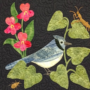 Woodland Creatures Sammler Serie #8 Bluehäher Muster von Rosemary Makhan