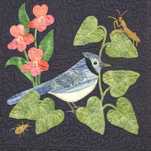 May include: A blue jay perched on a green leafy vine with pink flowers. The bird is facing right and has a white breast and blue wings. There are two brown insects on the vine.