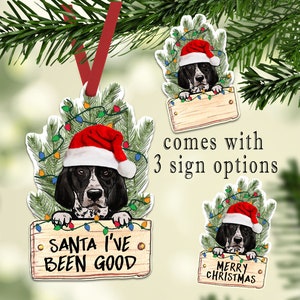 Puede incluir: Adorno navideño con un perro blanco y negro con un gorro de Papá Noel, rodeado de ramas de pino verdes y luces de colores. El adorno viene con tres opciones de letrero: "Santa I've Been Good", "Feliz Navidad" y un letrero en blanco.