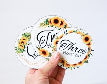 Monthly Milestones Photo Prop - Monthly Photo Marker - Gift For New Mom - Monthly Baby Photo - Milestone Marker Girls - Sunflower Photo Prop