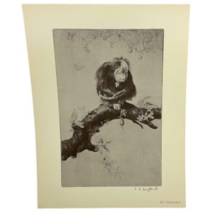May include: A monochromatic print on cream paper featuring an orangutan sitting on a tree branch. The primate has its arms crossed and is looking downward. The artwork includes delicate floral details, a butterfly, and the text Not Interested.