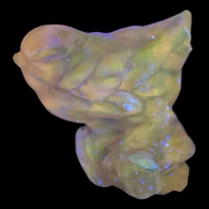 May include: A small, bird-shaped figurine in yellow and green hues. The figurine has a smooth texture and is speckled with small blue dots. The background is a solid black colour.