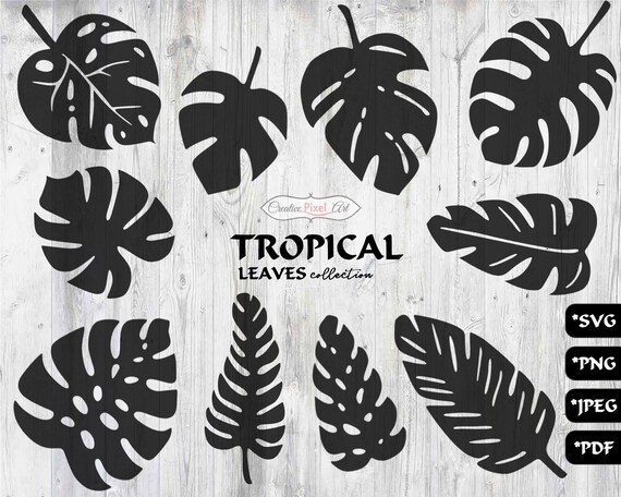 Download Tropical Leaves Svg Bundle 10 Designs Svg Cut File Svg Etsy