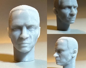 Sorin custom head - for 5.5” figures