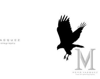 Czarno-biały, metaliczny nadruk, Oryginalna sztuka, minimalistyczny, jeden ptak