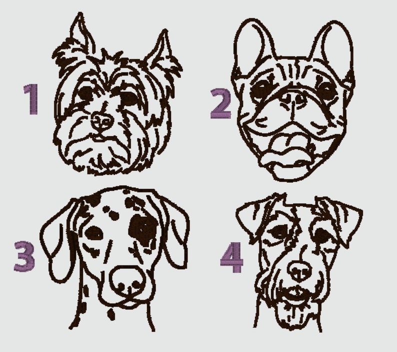 May include: Four black and white line drawings of different dog breeds. The dogs are numbered 1 through 4. The dogs are Yorkshire Terrier, French Bulldog, Dalmatian, and Jack Russell Terrier.