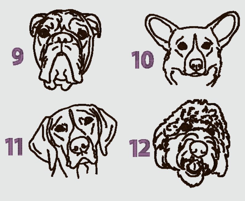 May include: A black and white line drawing of four different dog breeds. The dogs are numbered 9, 10, 11, and 12.