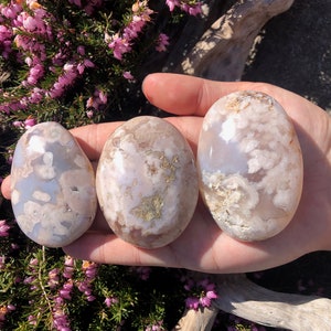 1 pc Beautiful Flower Agate Palm Stone