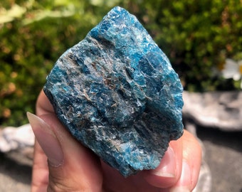 1 pc Large Raw Blue Apatite Chunks