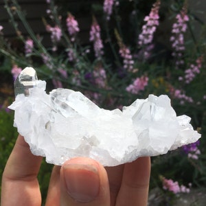 Stunning High Quality Arkansas Clear Quartz Cluster