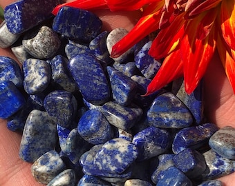 2 pc Tiny Tumbled Lapis Lazuli