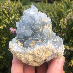 Stunning Baby Blue Celestite Cluster