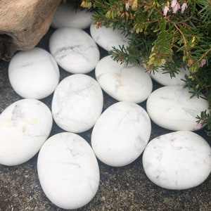1 stuk Howlite Palm Stone