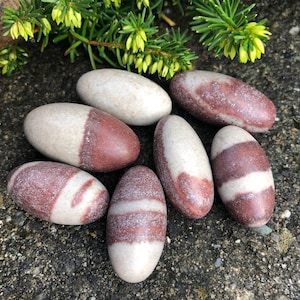 1 peça pequena pedra Shiva Lingam