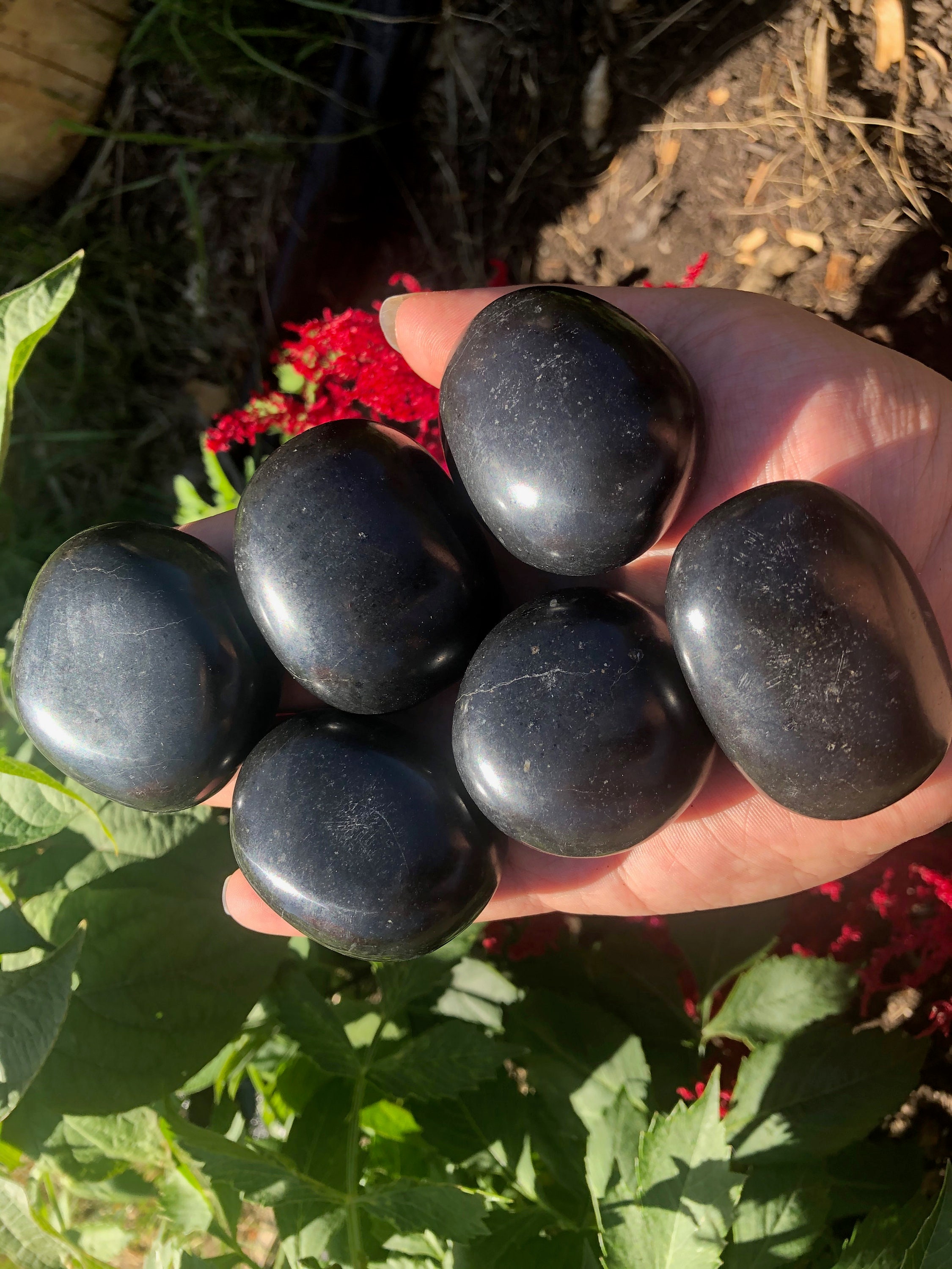 High Quality Black Tourmaline Palm Stones