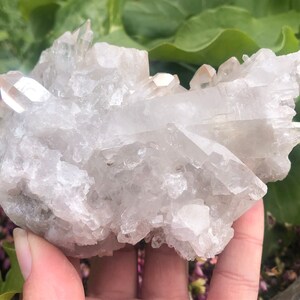 Large Natural Chrysanthemum Quartz Cluster