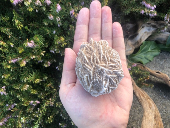 デザートローズ 石膏 大きめ 手のひらサイズの大きな石膏デザートローズ - Etsy 日本