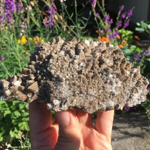Large Dog Tooth Calcite Cluster