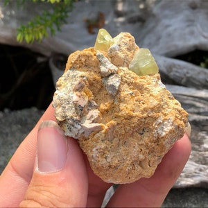 Golden Apatite Cluster