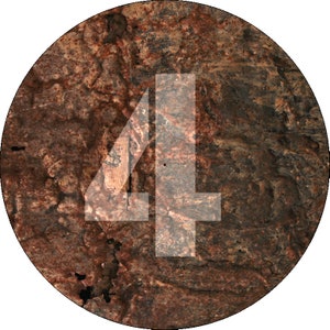 May include: A close-up of a round, brown, textured surface with the number "41" printed in white.