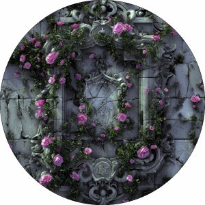 Puede incluir: Imagen circular de un muro de piedra con tallas ornamentadas y enredaderas. Rosas rosas florecen entre el follaje verde, enmarcando un elemento arquitectónico central. El muro tiene una apariencia desgastada y envejecida.