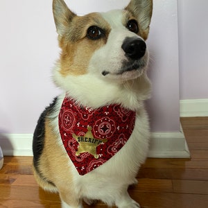 May include: A white, brown, and black corgi dog wearing a red bandana with a gold sheriff's star badge.