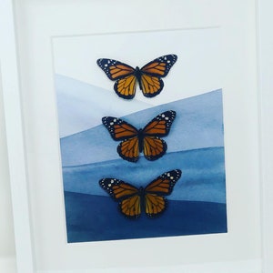 insect art butterfly art Earthy home decor natural decor real butterfly in frame nature decor entomology bohemian art boho