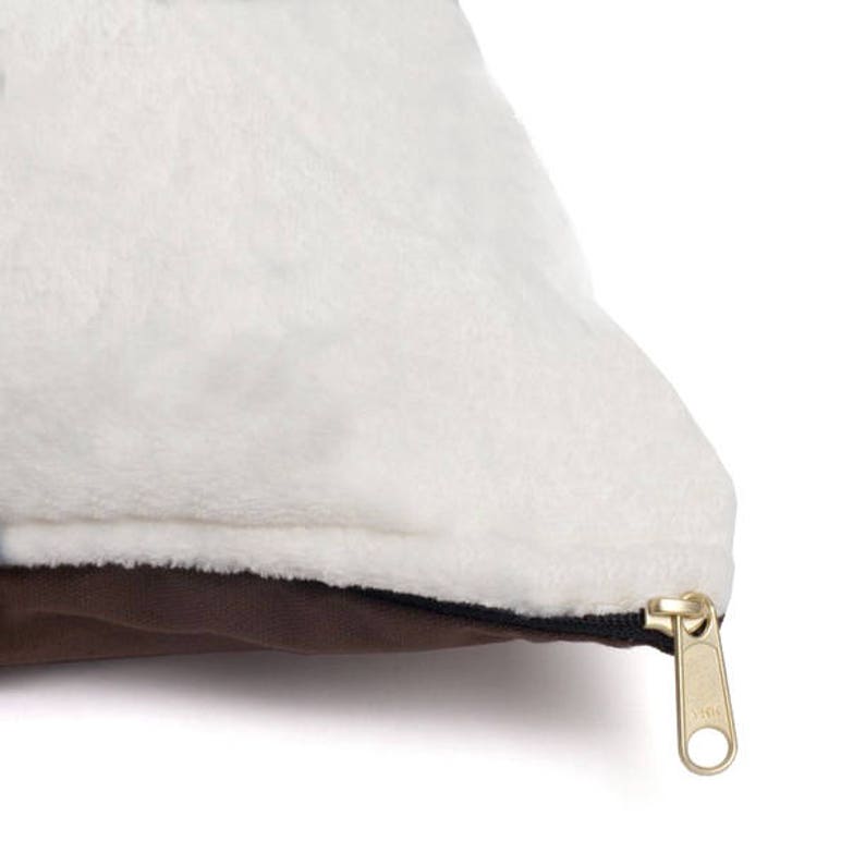 Turquoise Pet Bed White Bone Pattern on Turquoise Dog Bed ...