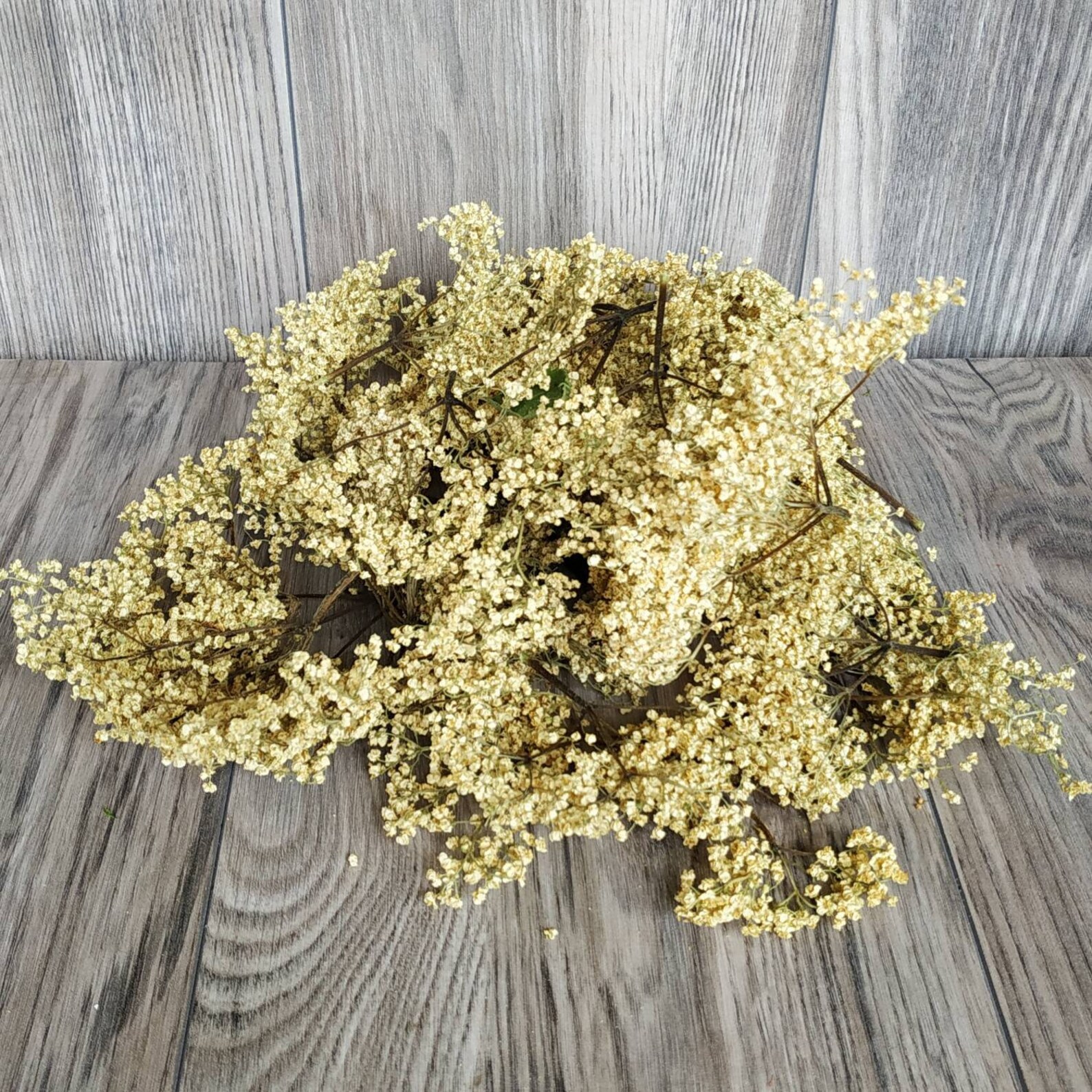 Elderberry Flowers Dry. Real Organic Dried Elderberry Flowers. Etsy