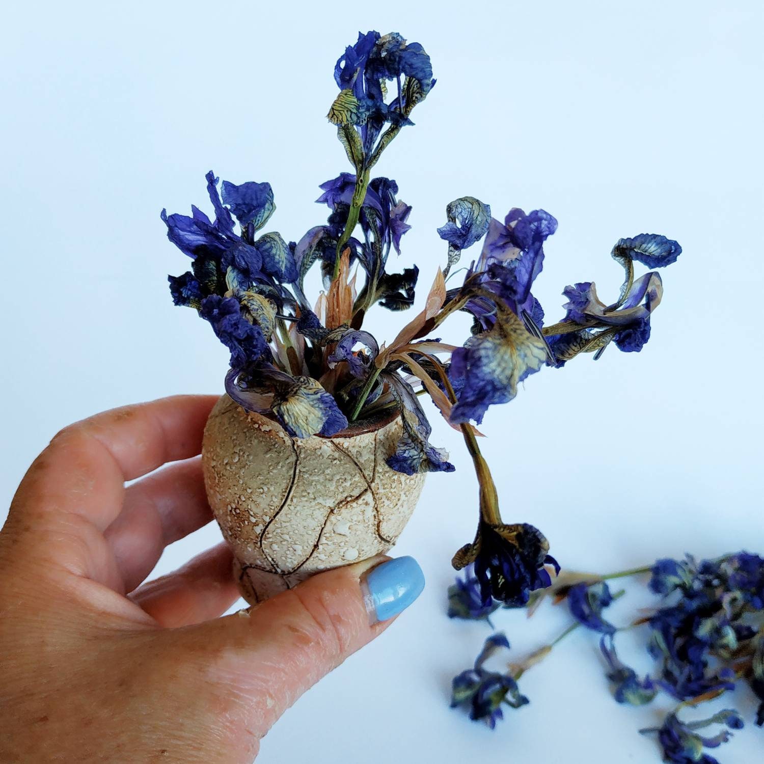 Dried blue iris flowers 12 pcs for resin art. Biodegradable Etsy