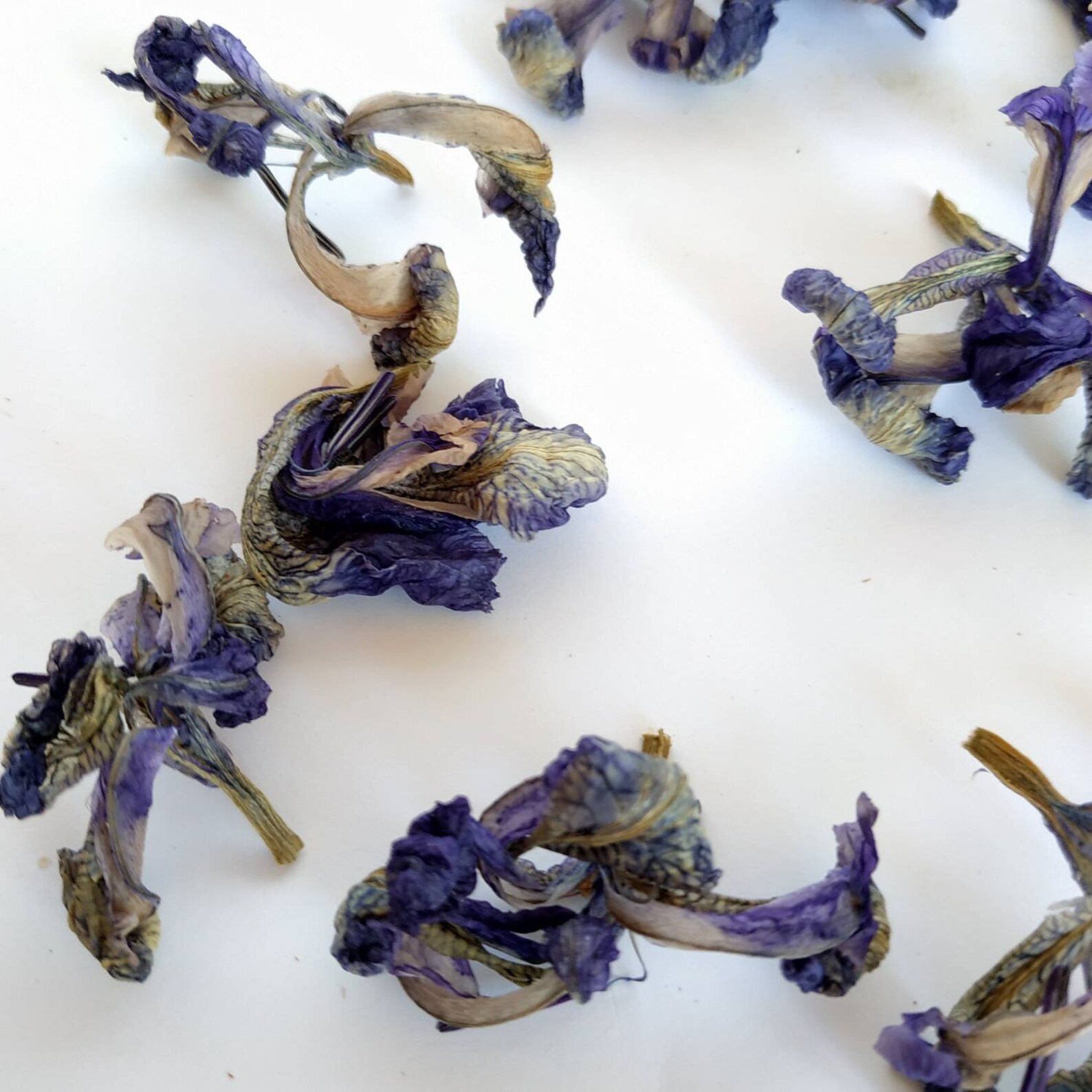 Dried blue iris flowers 15 pcs for resin art. Biodegradable Etsy