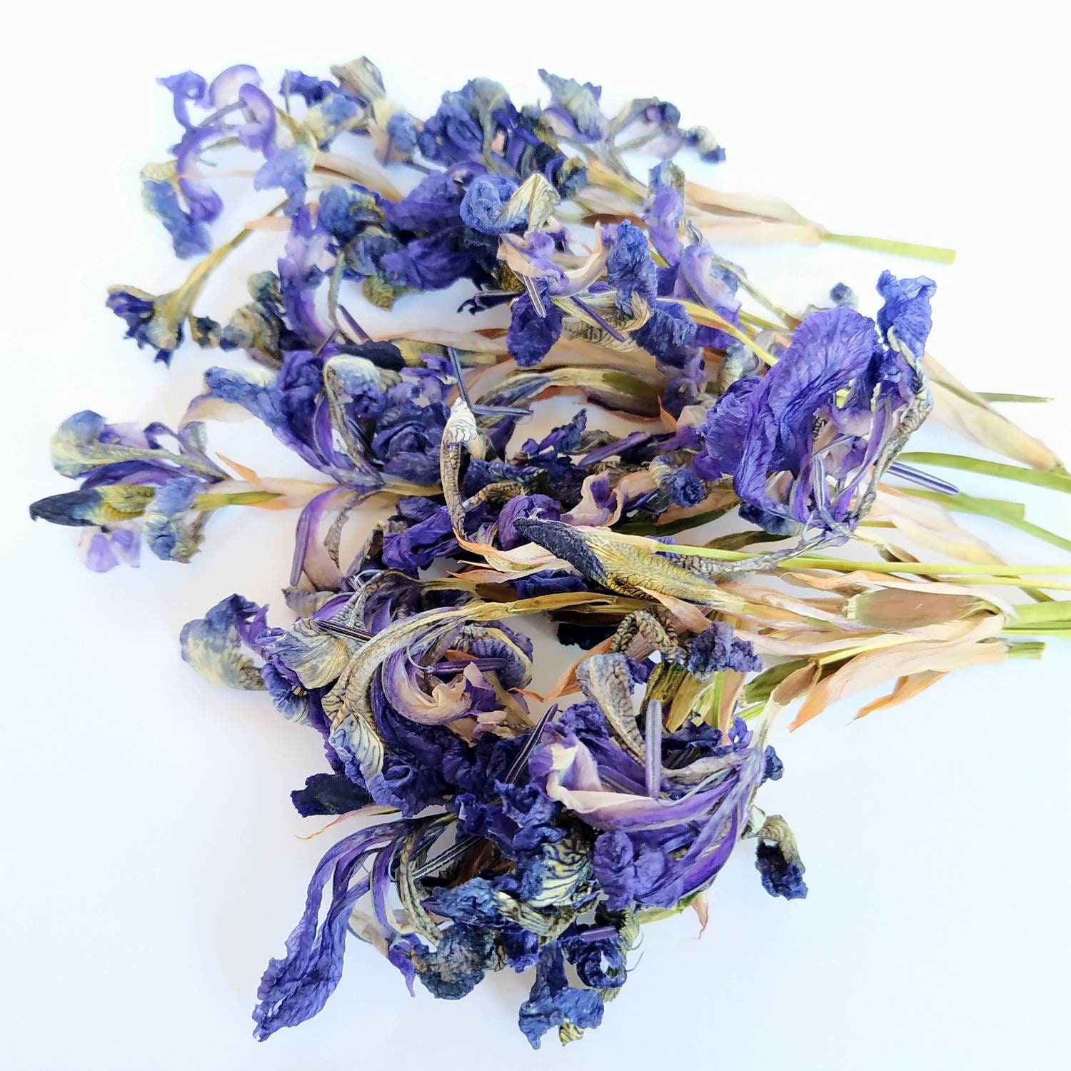 Dried blue iris flowers 12 pcs for resin art. Biodegradable Etsy