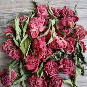 Dried Pink Peonies Peonies Flowers Dried Organic Dried Flowers Dried Flower Pink Natural Wedding Decor