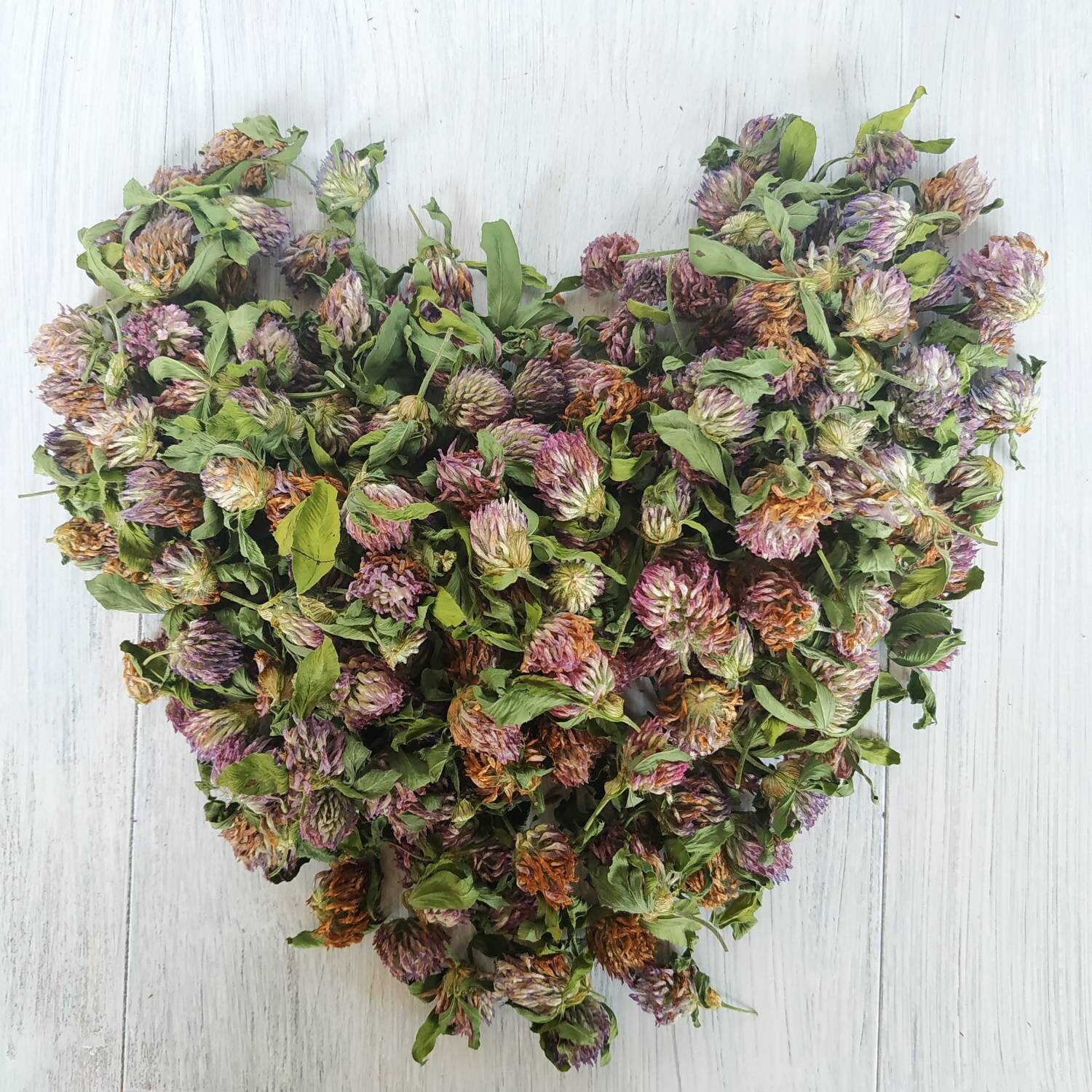 Dried clover flowers. Purple clover flower dry. Organic red Etsy