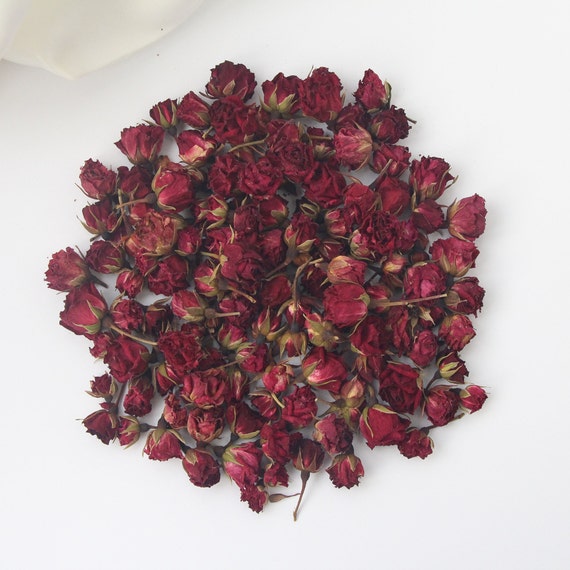 Small dried roses Dried roses bouquet Dried mini roses flower with stem Dry flowers burgundy