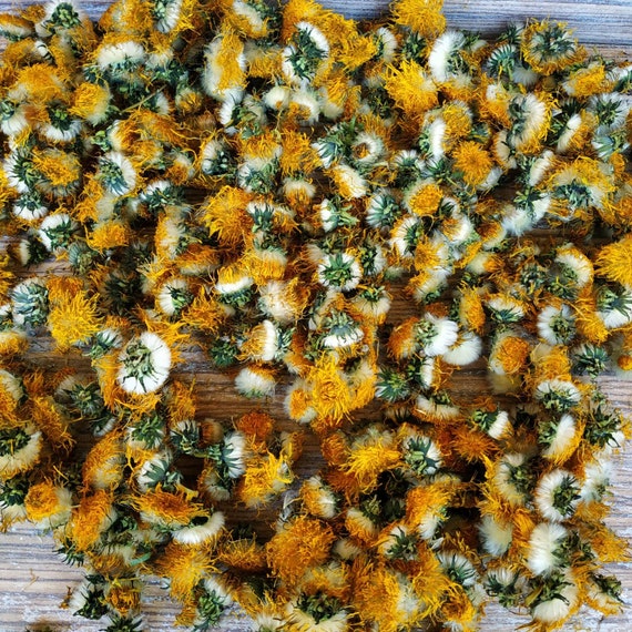 Dried dandelion flowers 1oz 28g Real flowers dandelion Etsy